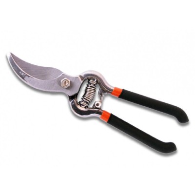 FOARFECA VIE FORJATA