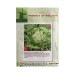 Seminte salata Hilde, 10g Seminte salata Hilde, 10g