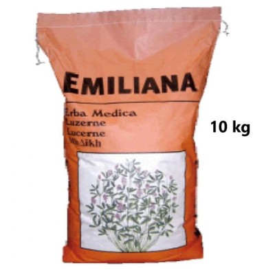 Lucerna Drajata EMILIANA Lucerna Drajata EMILIANA
