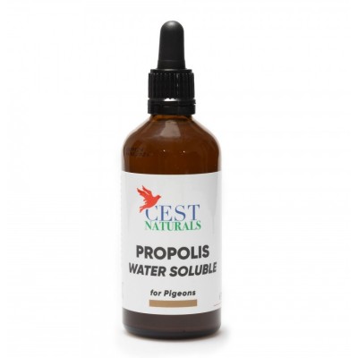 Propolis Solubil in Apa 100ml - Cest Pharma Propolis Solubil in Apa 100ml - Cest Pharma