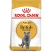 Royal Canin British Shorthair Adult 