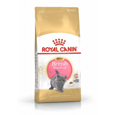 Royal Canin British Shorthair Kitten 400 gr 